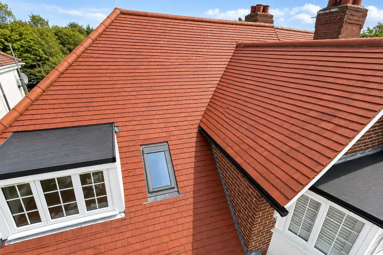 Roof after professional roof cleaning