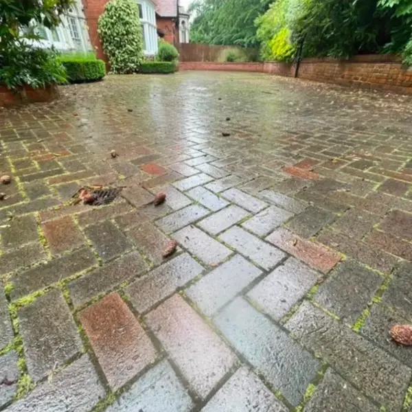 Block paved driveway before professional cleaning