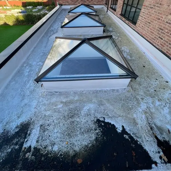 Flat roof before professional cleaning